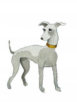 The Richmond Greyhound